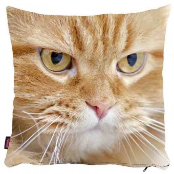 Kedili Yastık Kılıfı-47